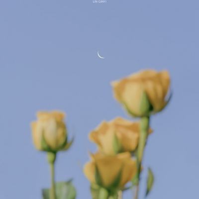 乐发彩票APP下载手机app下载