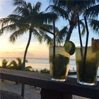 天天中彩票app下载