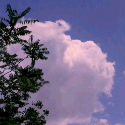 大发dafa888app下载